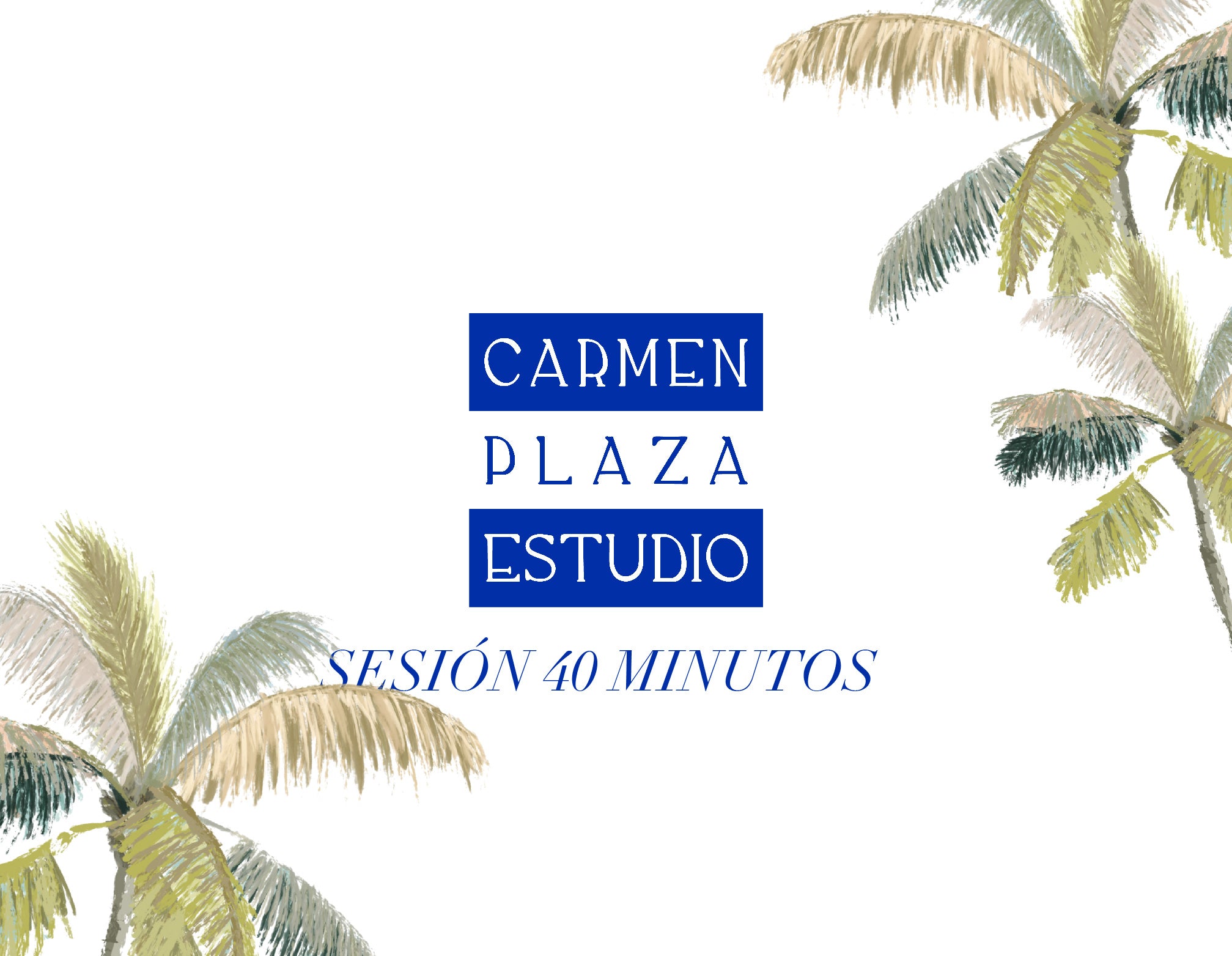 Sesión de consultoría